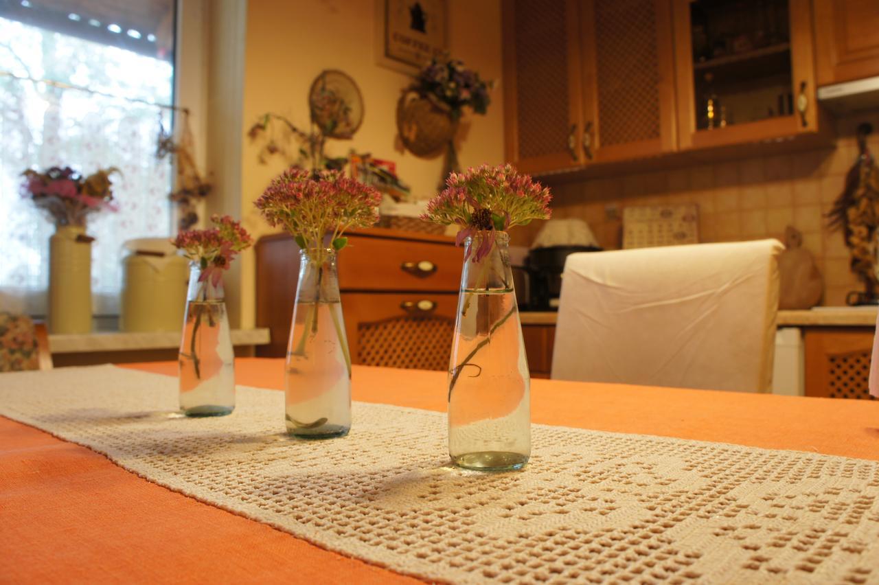 Usadba Bogach Hotel Kobryń Zewnętrze zdjęcie